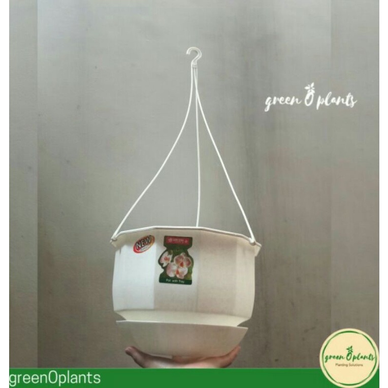 Pot Gantung Lion Star Gardenia 10 Putih
