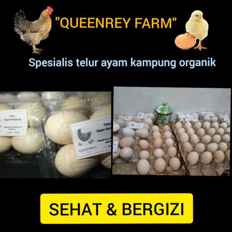 

Telur Ayam Kampung Organik 30butir