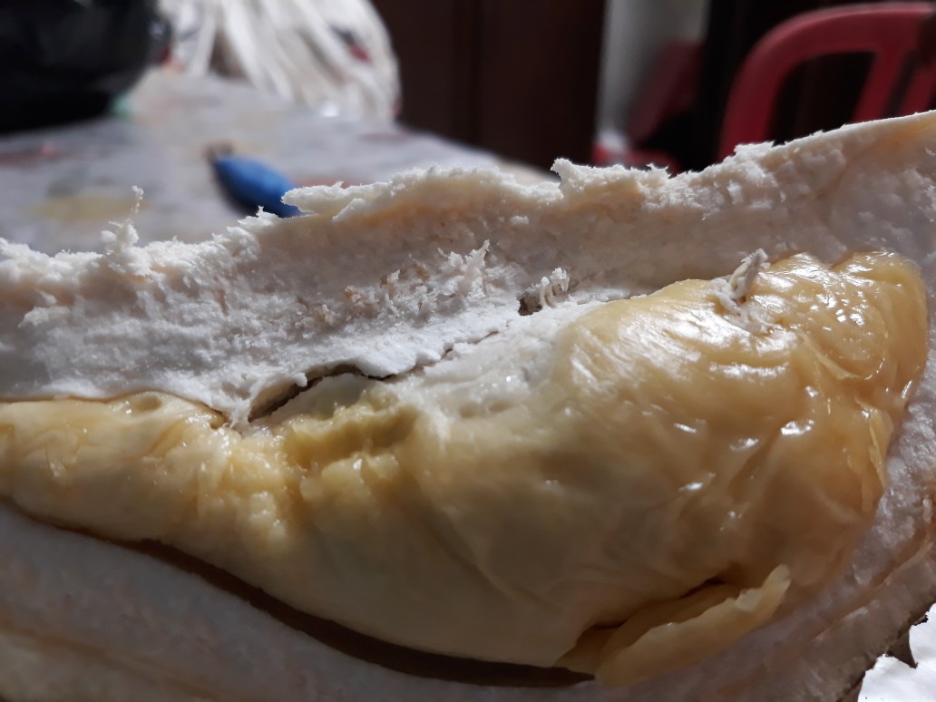 Tunik Batik Soft Shanghai