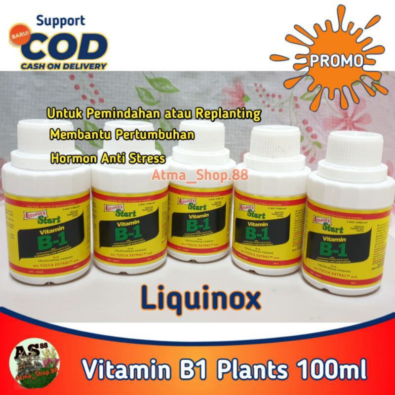 Vitamin B1 Tanaman 100ML Liquinox Star Hormon Mencegah Stress Saat Pemindahan Media atau Replanting