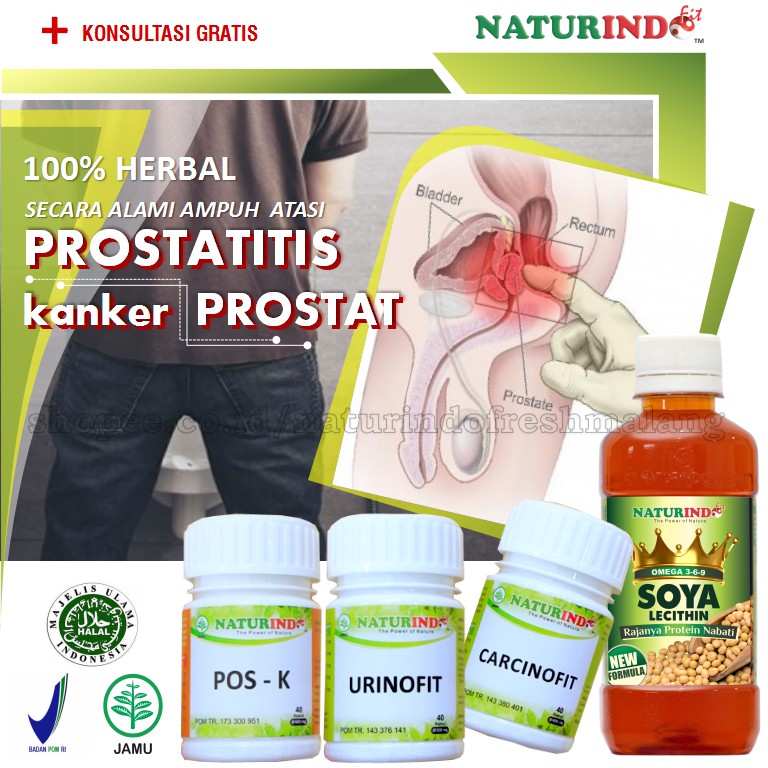 Jual Obat Prostat Herbal Kanker Prostat Infeksi Saluran Kemih Anyang ...