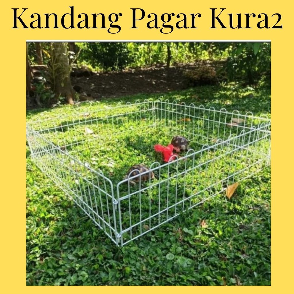 Kandang Pagar Kura Kura darat Sulcata, Aldabra dll