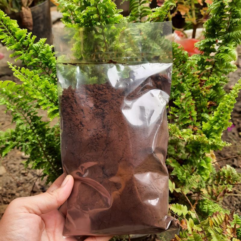 

KOPI BUBUK CURUP CAP ISTANA KOPI