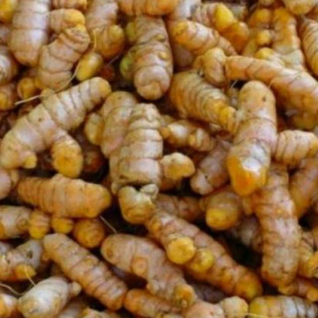 

[Fresh] KUNYIT SEGAR ASLI LANGSUNG DARI KEBUN