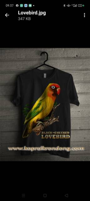 kaos burung combed 30s