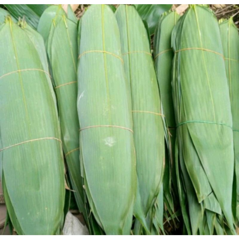 

Jual Daun Bambu Segar