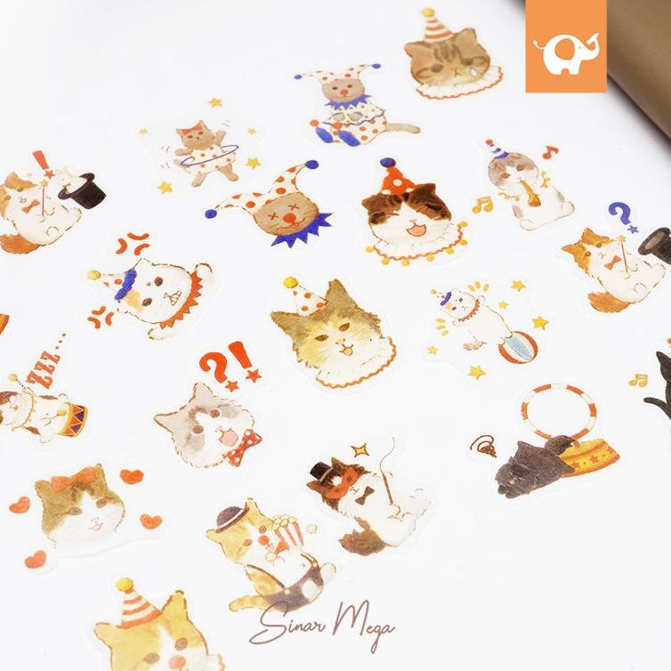 Foto Kucing Galau Lucu - Gambar Ngetrend dan VIRAL