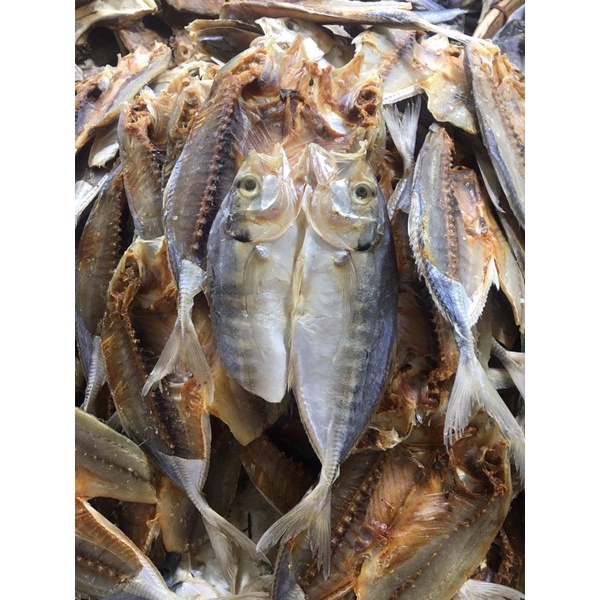 

Ikan Balato
