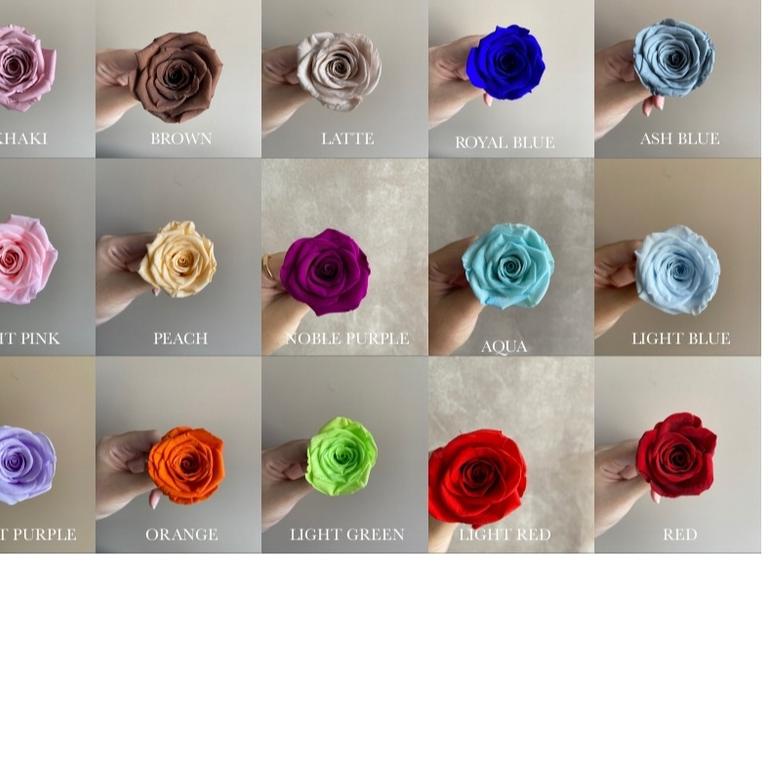 ♥ Rose Preserved ➥