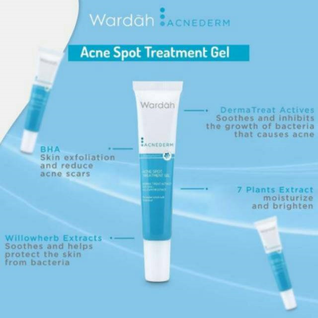 BPOM Wardah Acnederm Acne Spot Treatment Gel 15 ml - Totol Jerawat dengan BHA dan Willowherb Extracts