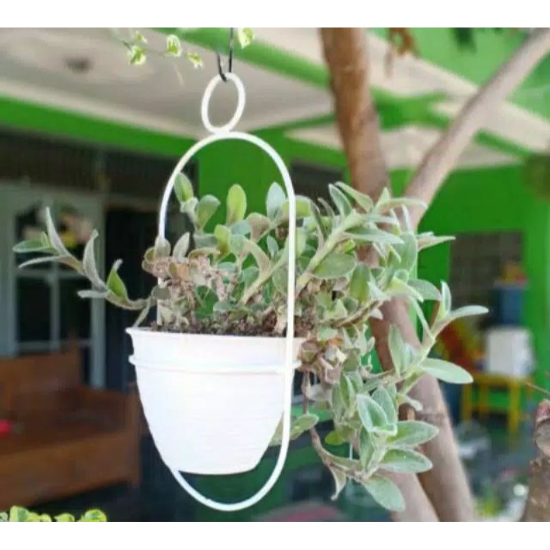 pot bunga / pot besi / pot gantung besi