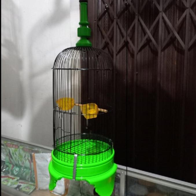 Sangkar Pleci Helopet / Kandang besi pleci & ram pleci