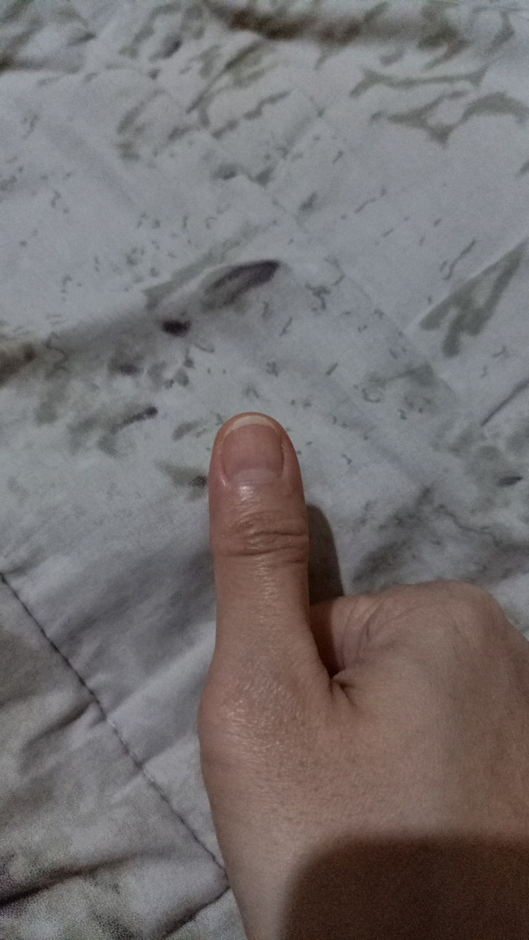 Plastik Wraping/ Cling Wrap 30cm X 20 Meter