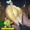 Durian Montong Sulawesi Utuh