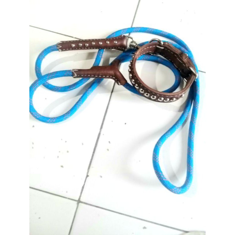 kalung anjing asli kulit