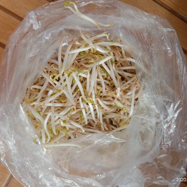 

Tauge perplastik