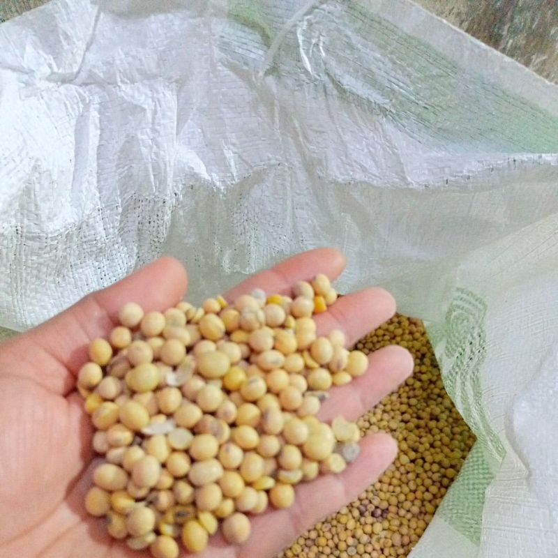 

kacang kedelai utuh import merk bola hijau 1kg