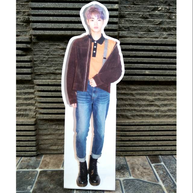 Official Standing Doll Lee Daehwi Wanna One