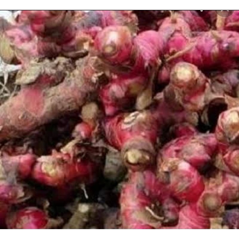 

jahe merah segar250grm
