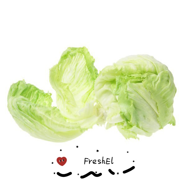 

FreshEl - LETTUCE 250GR