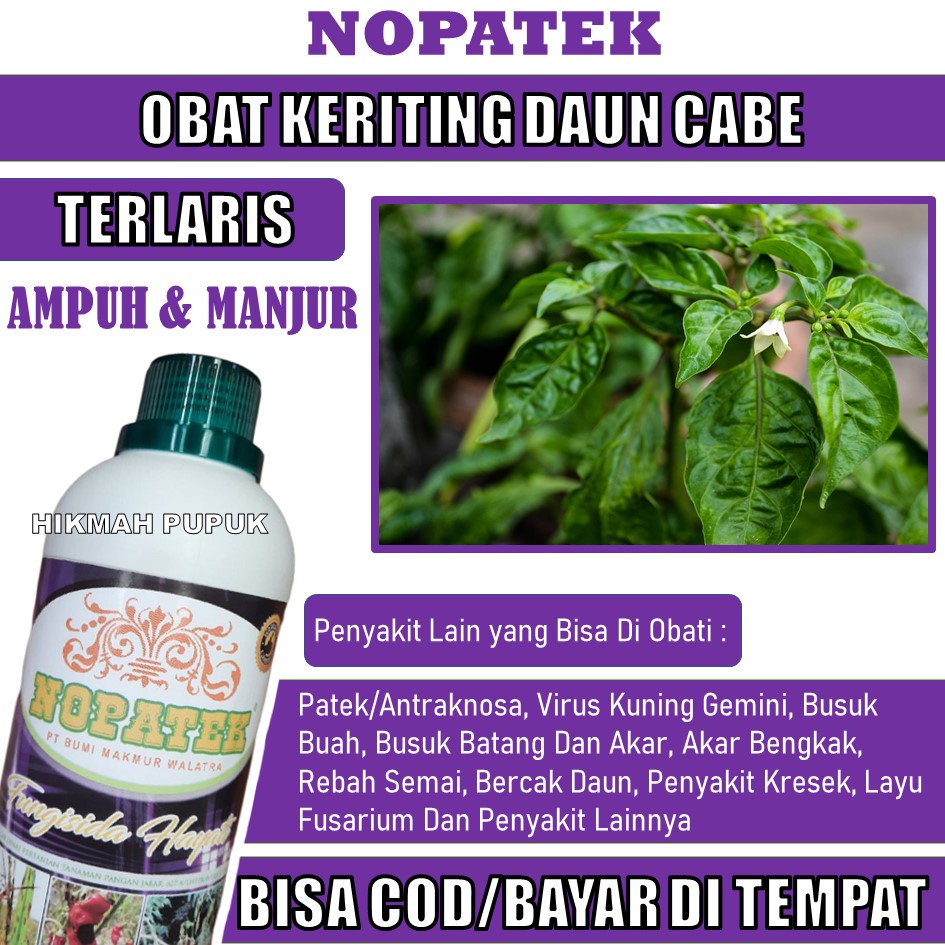 Jual Cod Aman Obat Keriting Daun Cabe Kresek Daun Terong Kuning Daun Jeruk Dan Semua Tanaman