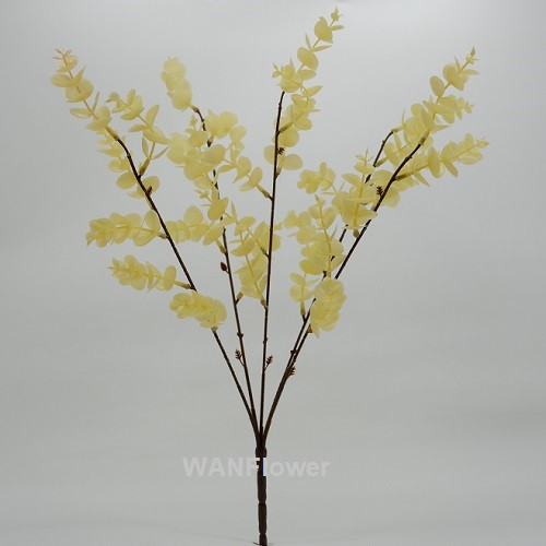 WANFLOWER Daun Eucalyptus T48-X5 * KUNING