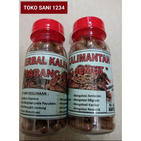 KAPSUL SARANG SEMUT ASLI