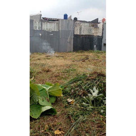 JASA PEMBERSIHAN LAHAN/BABAT RUMPUT LIAR JABODETABEK