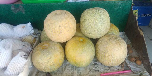 Kemeja Batik Pria Sogan Cendrawasih