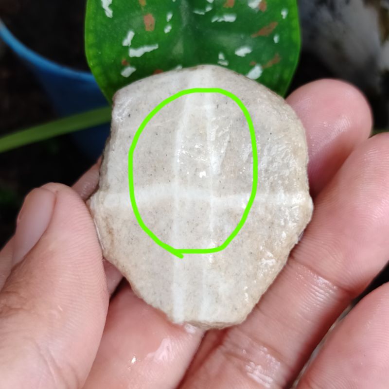 batu akik tapak jalak asli masih bahan mentah bkn ruby safir yakut giok langka wulung opal zamrud