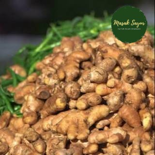 

Jahe Segar putih Bandung 100 gram