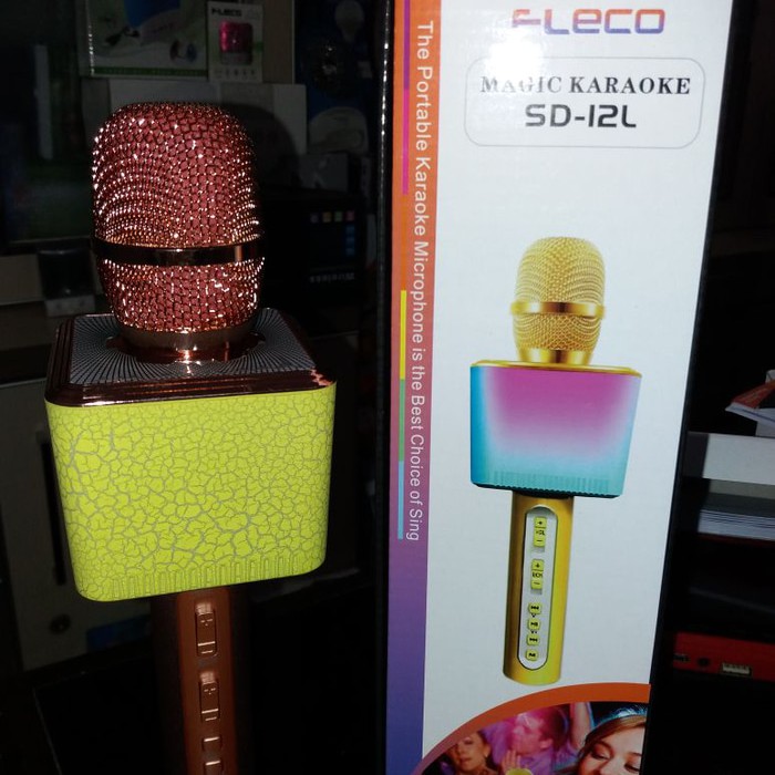 MIC SMULE BLUETOOTH FLECO SD 12 TERBARU