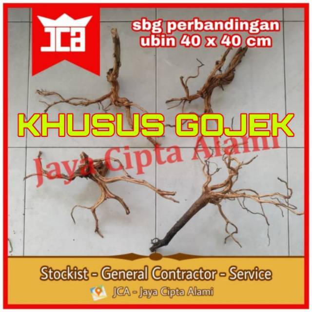 kayu rasamala kupas hardscape akar aquascape aquarium driftwood wood