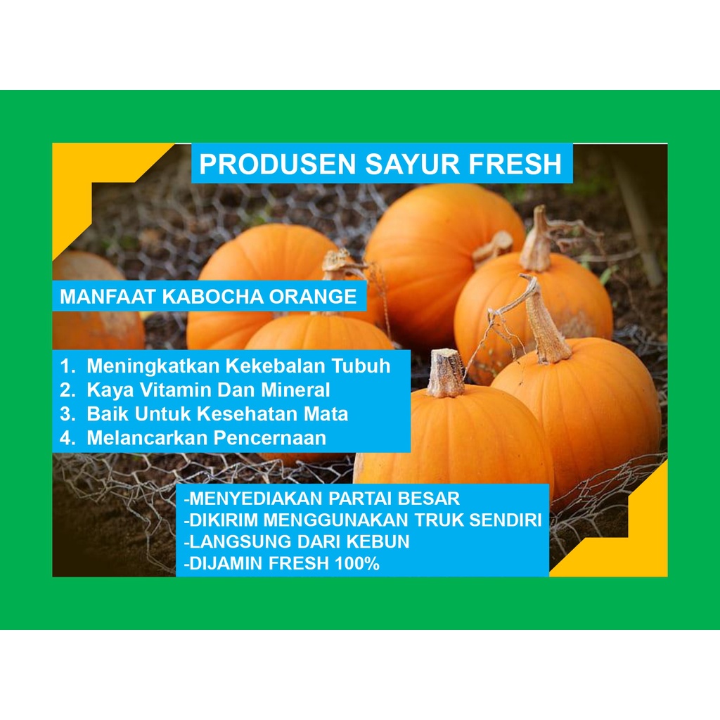 

Kabocha Pumpkin Labu Orange Fresh Langsung Dari Petani