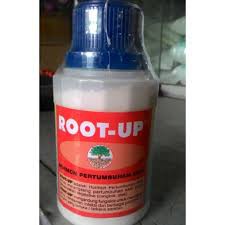 Root Up Hormon Perangsang Akar 100gr
