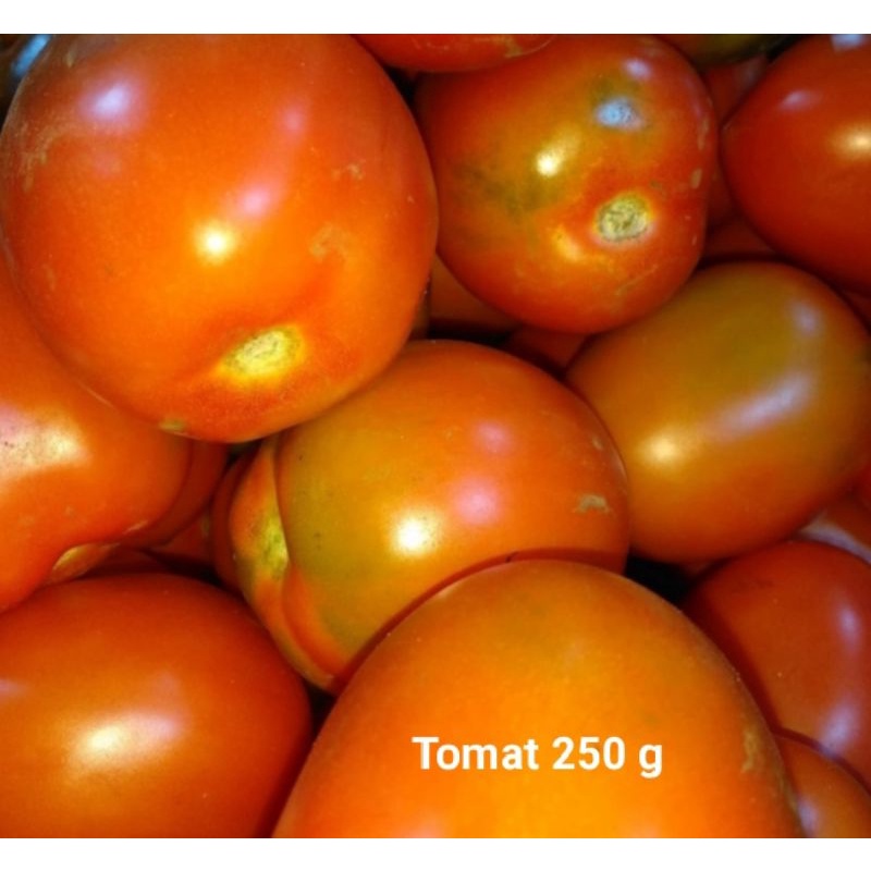 

Tomat