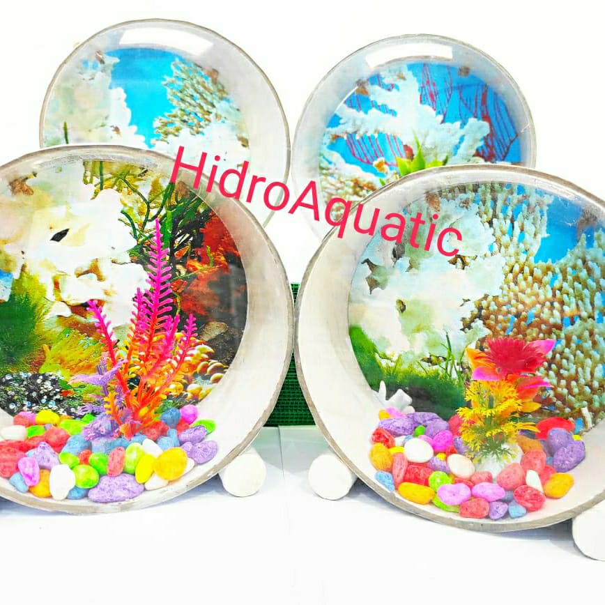 AQUARIUM IKAN CUPANG - AQUARIUM IKAN KECIL MINI - AQUARIUM GANTUNG (POLOS TANPA AKSESORIS)