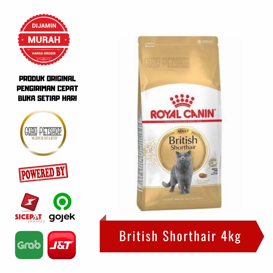 Royal Canin Adult British Shorthair 4kg Freshpack Makanan Kucing Royal Canin British