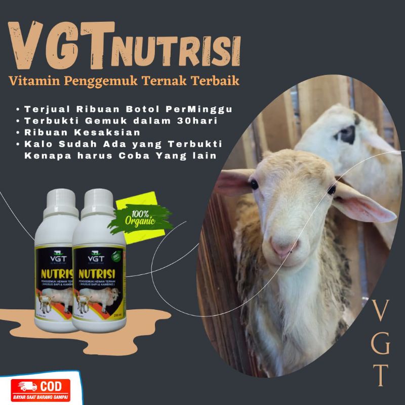 VGT Penggemuk Ternak Kambing (Bisa COD)