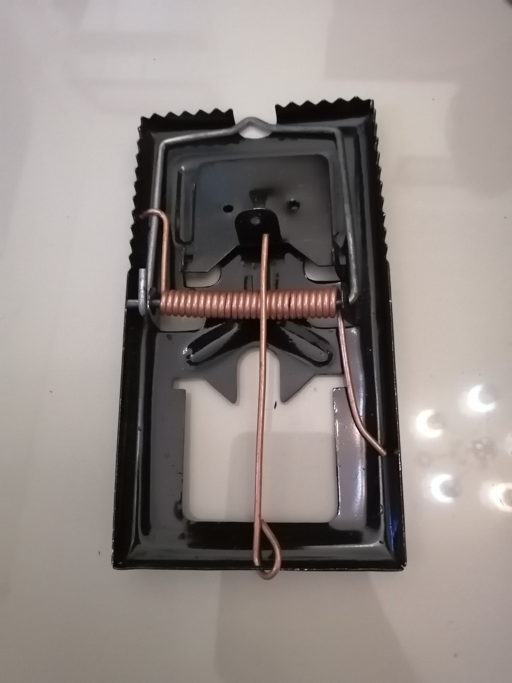 Perangkap / Jebakan / Jepretan Tikus