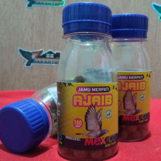 jamu ajaib mexico giring keket stamina burung merpati dara lomba kolongan pos tomprang balap giras