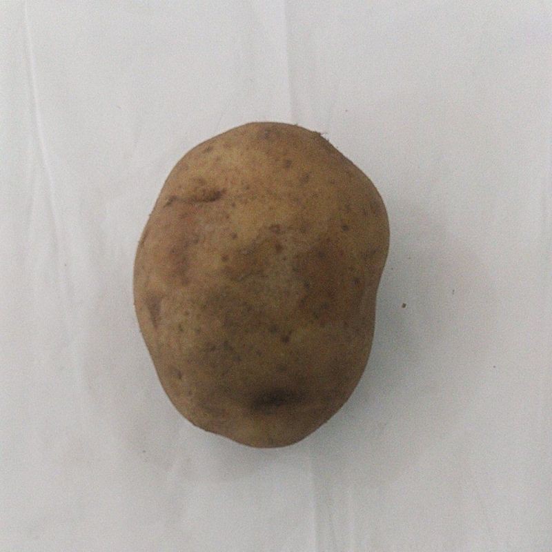 

kentang 500gram