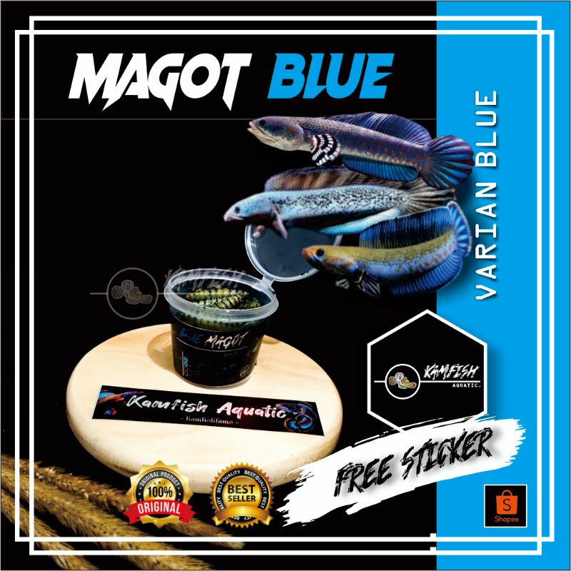 MAGOT BLUE PIGMENT SPIRULINA PAKAN IKAN CHANA AURANTI/MAGOT BSF BLUE REPACK