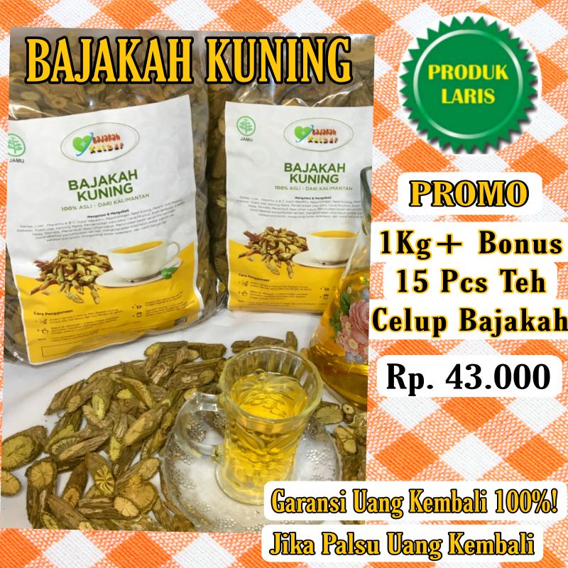 

Akar Bajakah Kuning 1Kg Asli Kalimantan