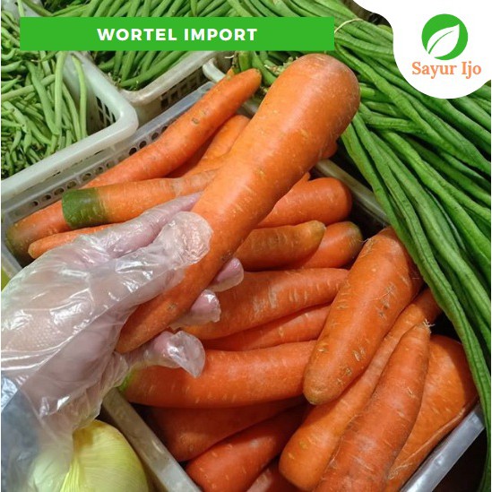 

Wortel Import 480 - 500 Gram Fresh Carrot Berastagi / Brastagi Sayur Hijau Segar