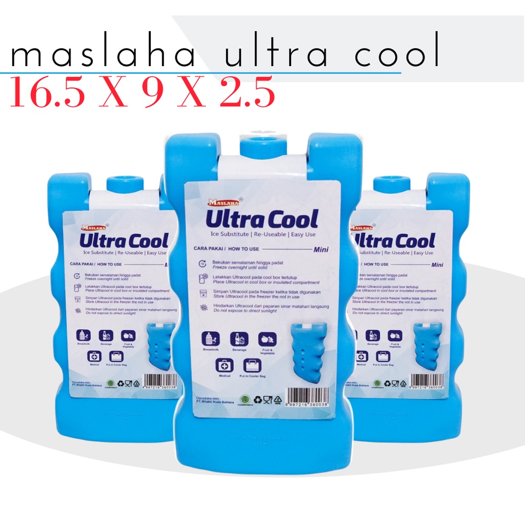 Jual KULKAS PENDINGIN ES KRIM / TEMPAT PENDINGIN ES KRIM / ICE PACK