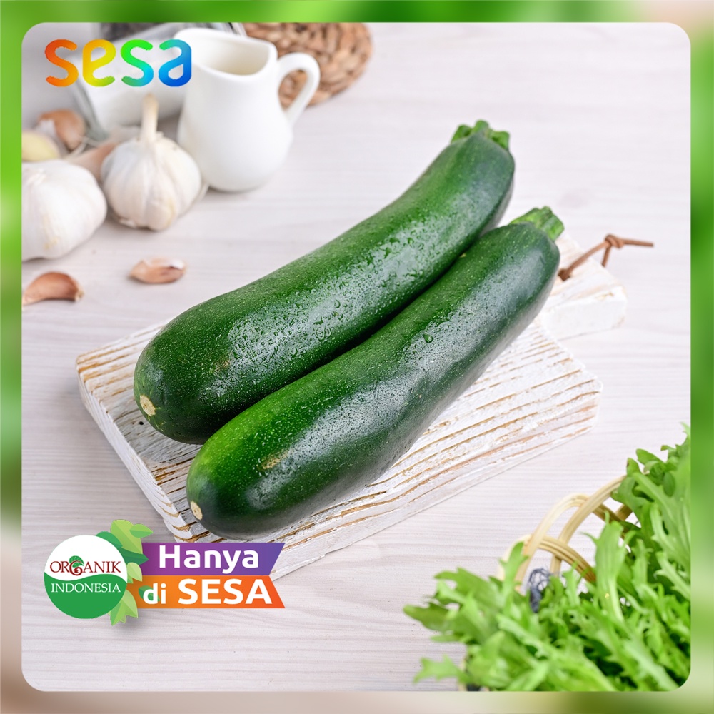 

ZUKINI Organik 500gr - Sayuran Sehat Segar