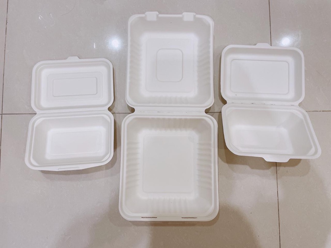 Bagasse Kotak 450ml Lunchbox Takeaway Sugarcane Serat Tebu Eco Friendly