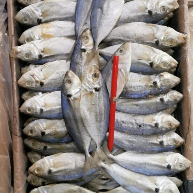 

[COD] ikan asin selar per 1kg [COD]