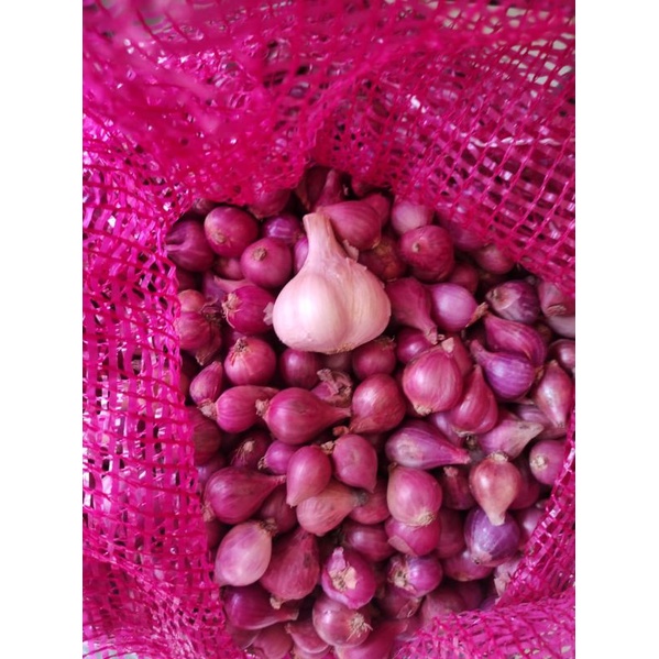 

Bawang Merah Brebes Murah